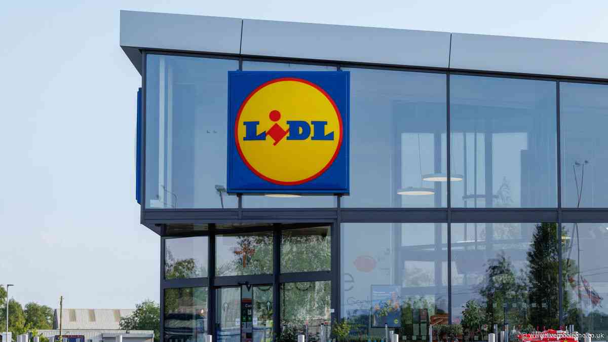 New Lidl £9 gilet like £1,131 Moncler - in stores Sunday