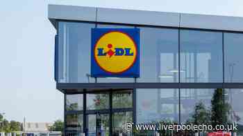 New Lidl £9 gilet like £1,131 Moncler - in stores Sunday