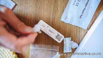 41 dead as UK Covid deaths surge - American Covid XFG variant symptoms explained
