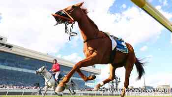 Horse’s death, reigning champion’s fall overshadows finish of the Caulfield Cup