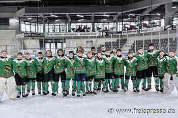 Eishockey-Nachwuchs bekommt im Erzgebirge eine Bühne