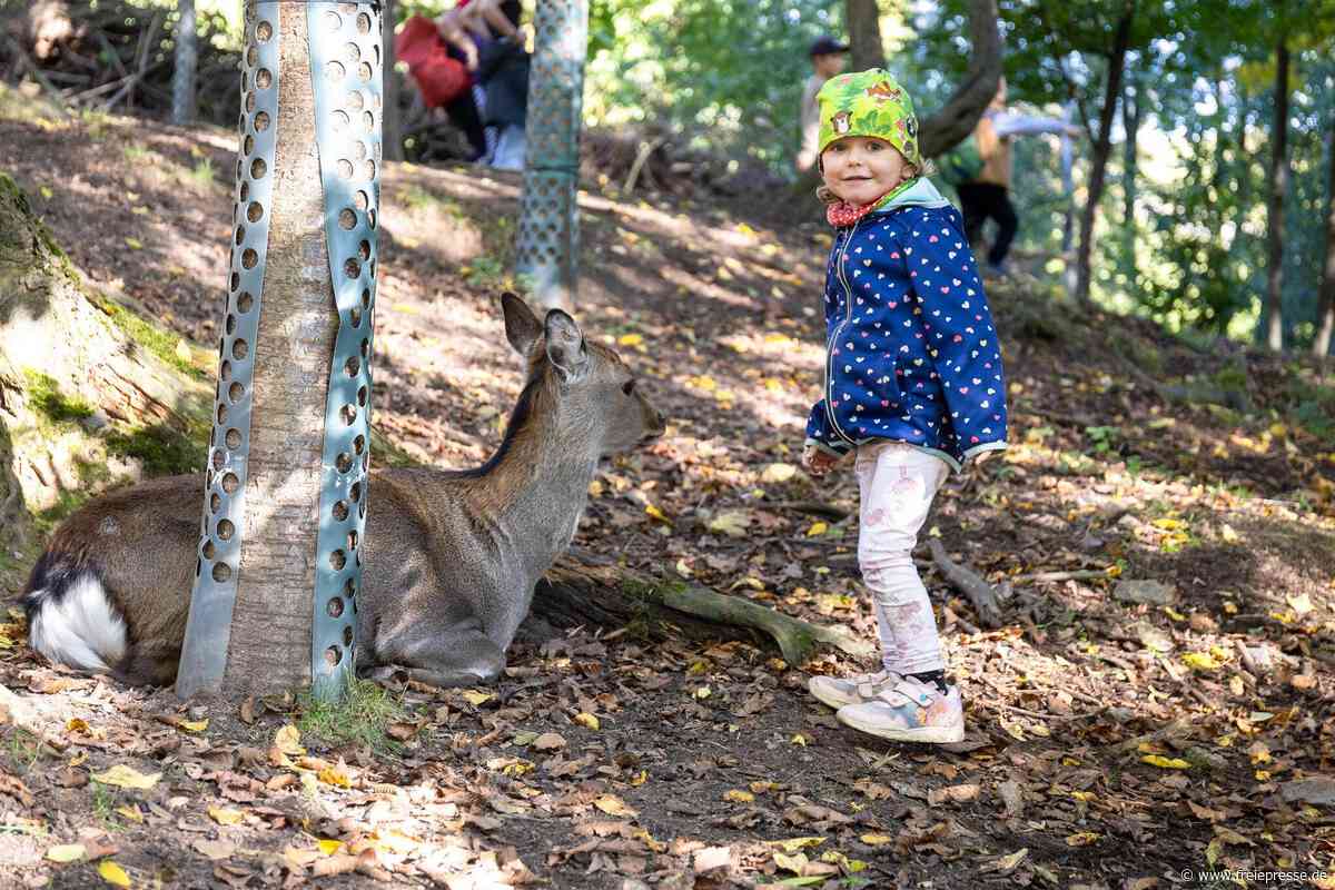 Familienabenteuer im Sonnenlandpark – „Beim ersten Mal kribbelt es im Bauch“