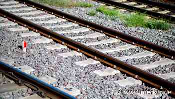 DB fällt Bäume an Bahnstrecke zwischen Bad Tölz und Lenggries