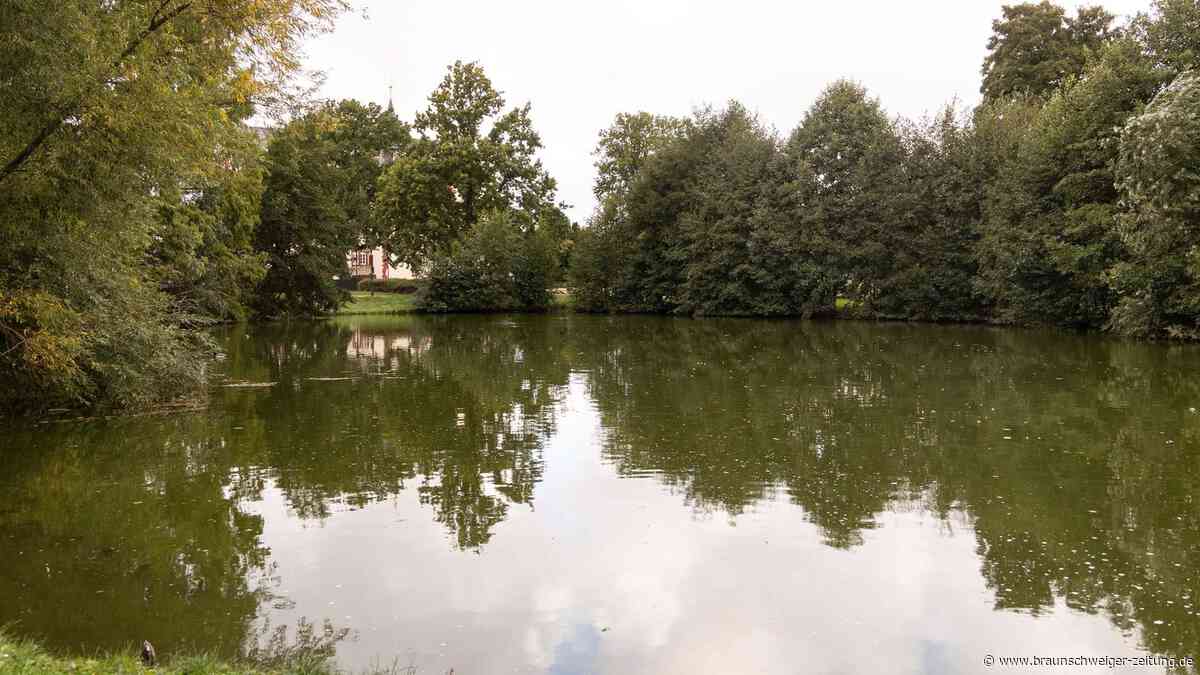 Bangen um Schlossteich am Schloss Salder: Ist Salzgitters  Idylle noch zu retten?