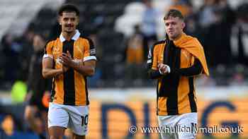 Sergej Jakirovic confident of his Hull City 'tactical plan' but Fulham game comes with warning