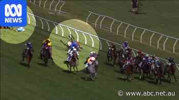 'Terrible to watch': Mare euthanased after fall with Melbourne Cup winner