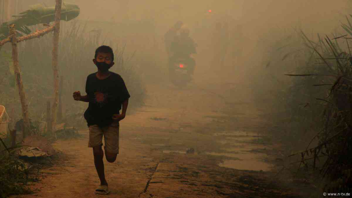 Giftige Rauchwolken: Brände in Indonesien: Südostasien ruft höchste Alarmstufe aus