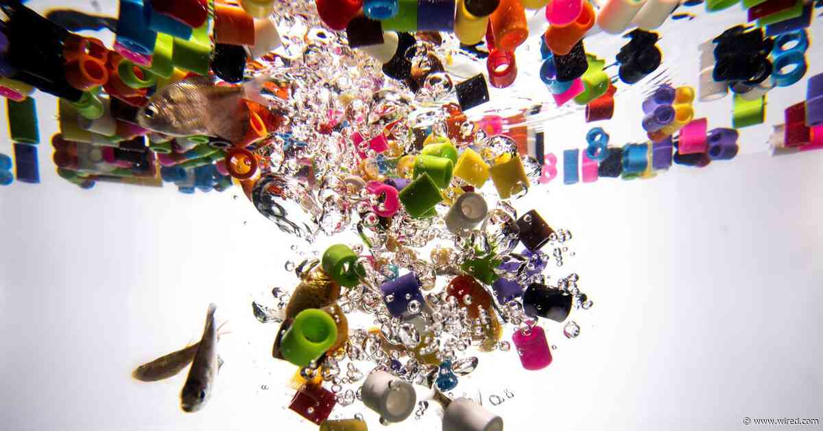 Microplastics React With Water, a New Study Says. That’s a Problem for Biology