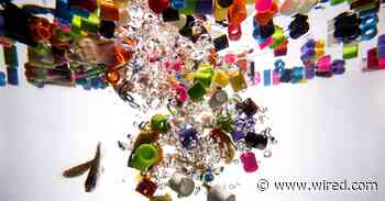 Microplastics React With Water, a New Study Says. That’s a Problem for Biology
