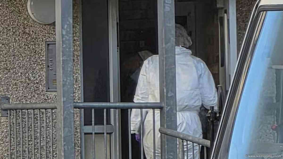 Man found dead in Holyhead flat and police confirm person arrested