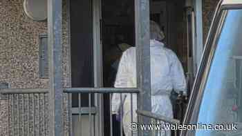 Man found dead in Holyhead flat and police confirm person arrested