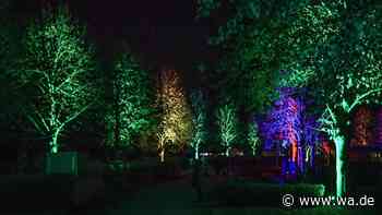 „Zusammenspiel von Licht und Schatten“: Magische Atmosphäre bei Event in NRW
