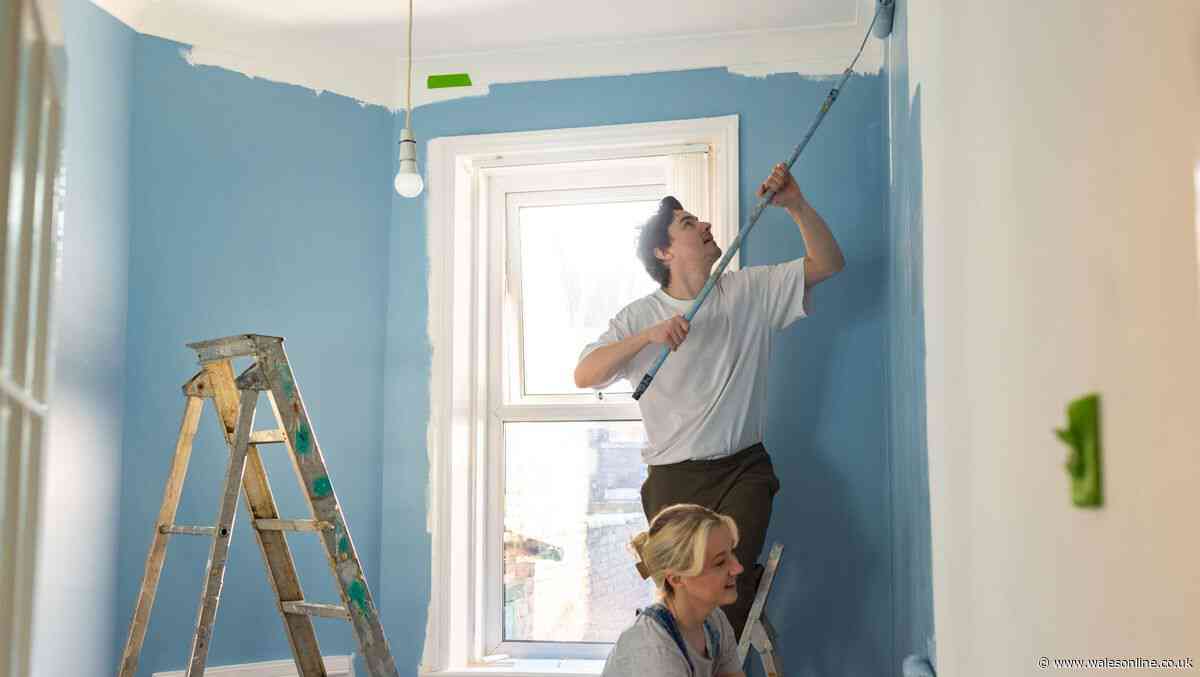 This month to see 'busiest week of the year for DIY' industry insiders say
