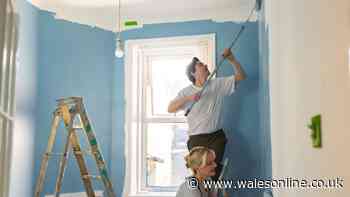 This month to see 'busiest week of the year for DIY' industry insiders say
