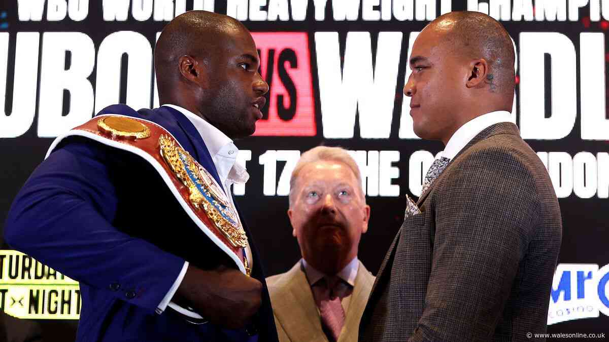 How to watch Daniel Dubois v Fabio Wardley: TV channel, live stream, start time