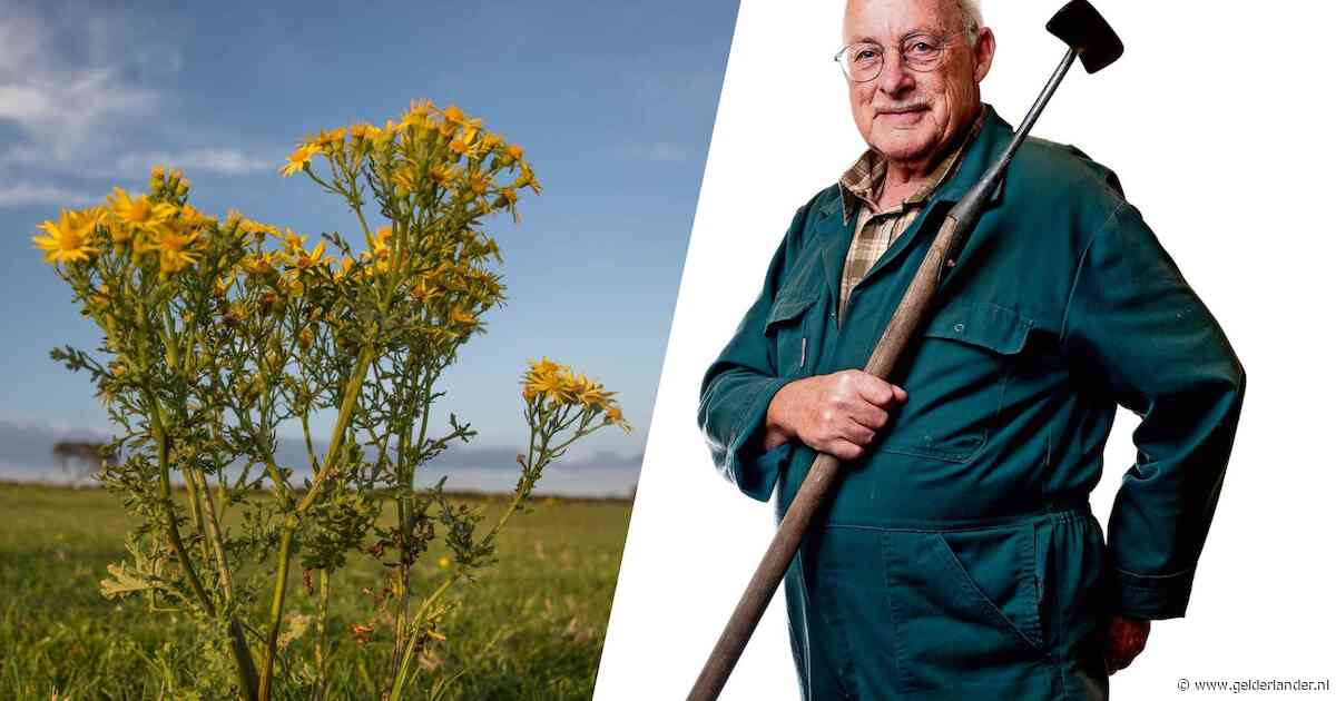Inspiratie voor weerbare planten spot je langs de weg, merkt Romke van de Kaa