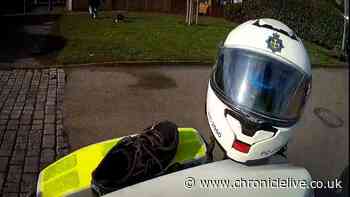 Dangerous electric motorbike rider crashed into car just seconds into police chase