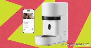 These 12 Automatic Cat Feeders Were the Best We Tested in 2026