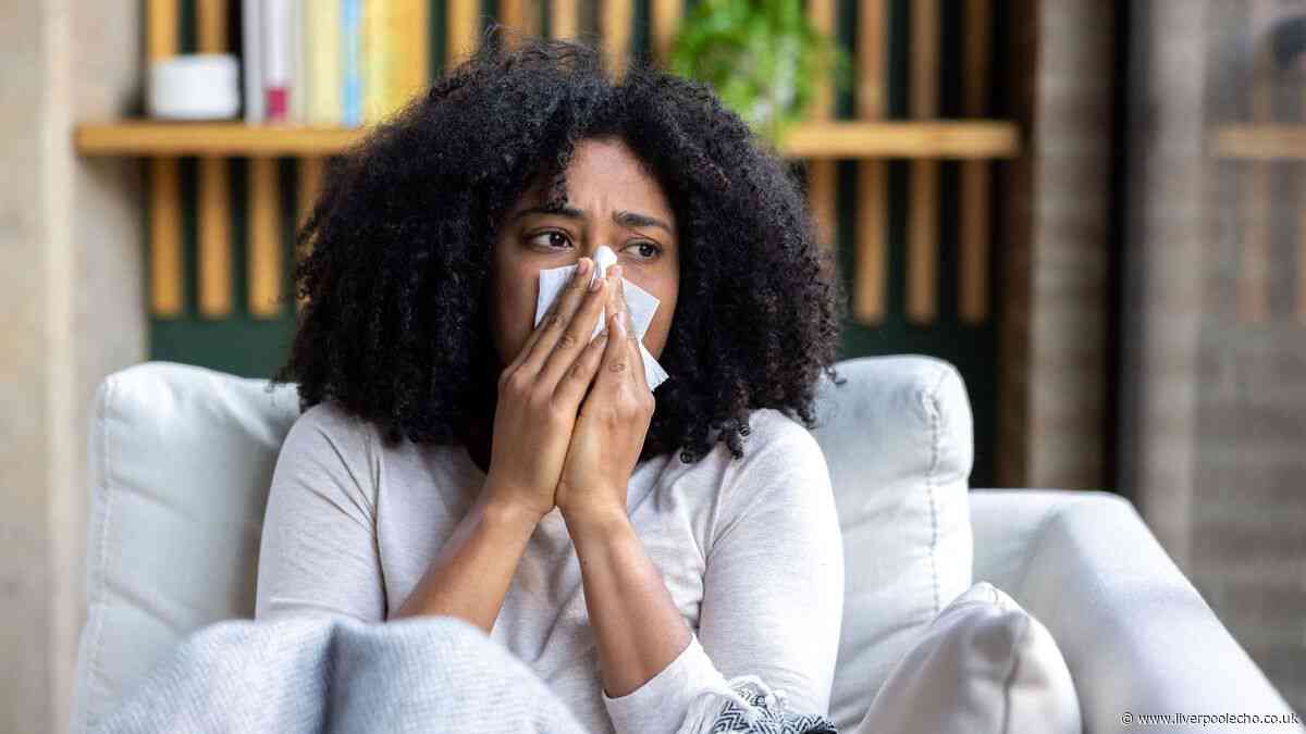 99p Home Bargains item for blocked noses this cold season