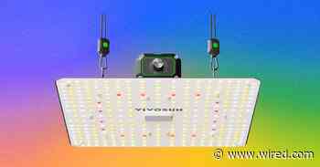 The Best LED Grow Lights for Houseplants This Winter (2026)