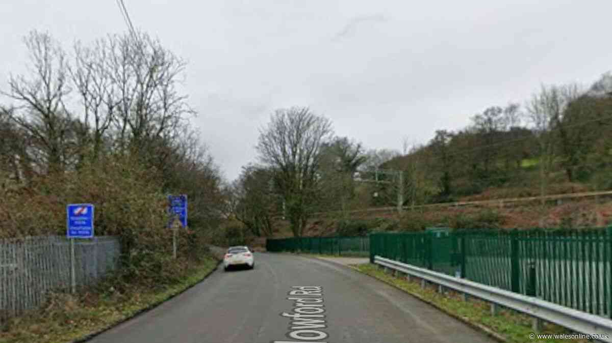 Overnight closures on Treforest road for vegetation clearance