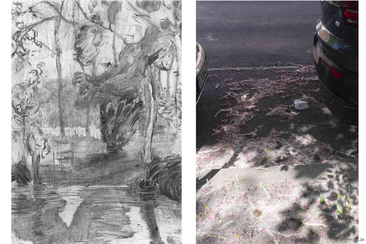 Animals will come: Ausstellung in der Galerie b2_ eröffnet heute