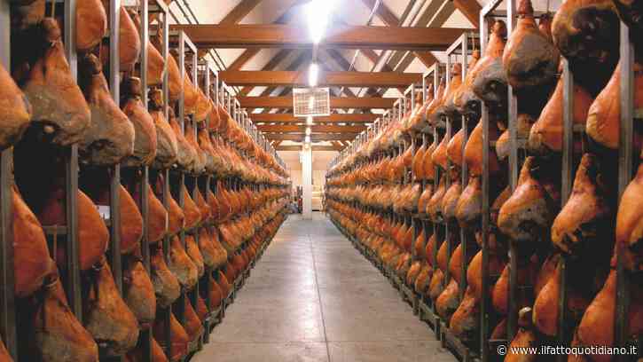 Rientra il caso della carne di maiale tolta dalle mense scolastiche friulane: “Islamizzazione? Riduzione per motivi alimentari”