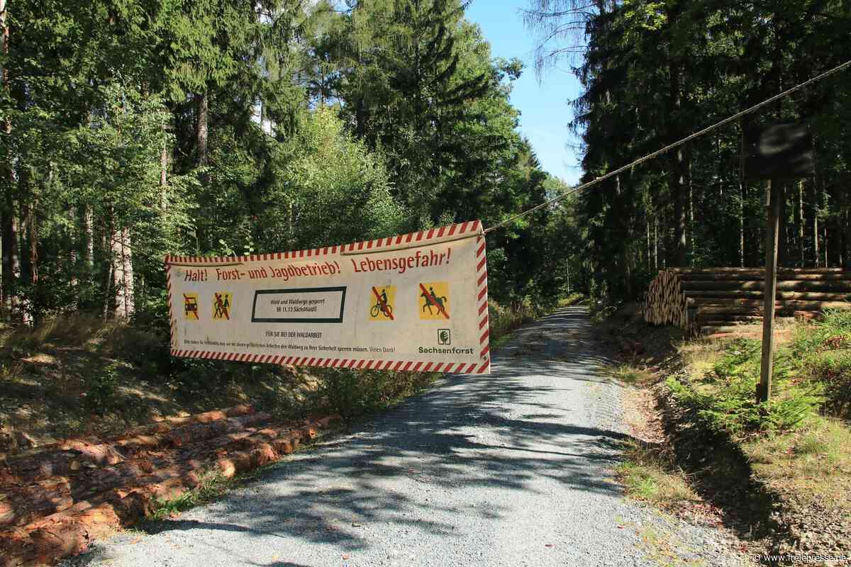 Gesperrte Waldwege im Erzgebirge: Wo genau der Holzeinschlag sein wird