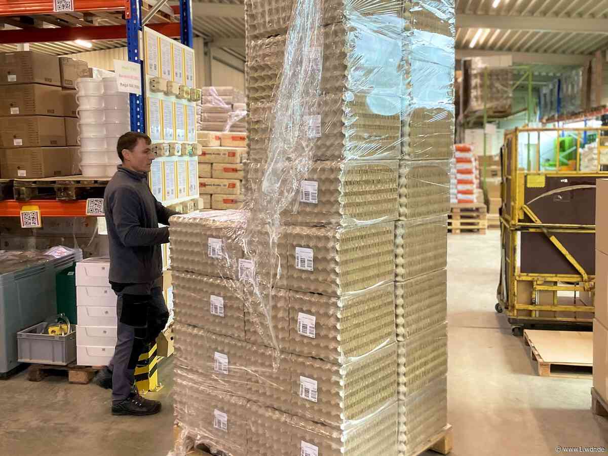 13.000 Quadratmeter für Eierkartons und das Hühnerglück