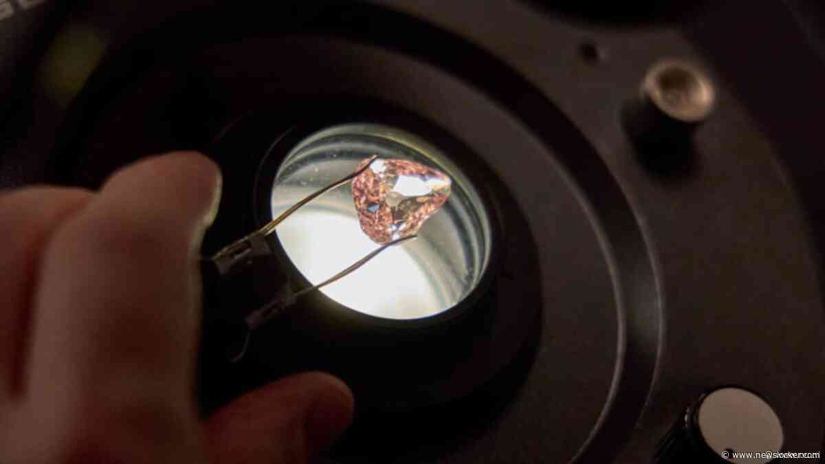 Zeldzame diamant die in appel werd verstopt eeuw na roof weer tentoongesteld