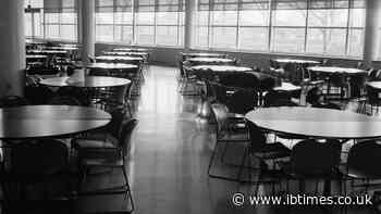 Irish School Meals Provider Ordered To Close Timahoe Food Site After 'Rodent Droppings' Found on Oven