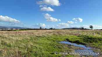 Open land in Swansea to be used for 350-place special school