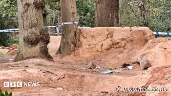 Cyclists cause 'significant damage' to protected woodland