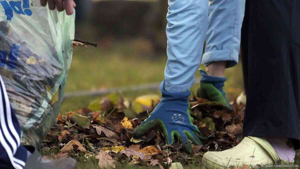 Erste Frostnächte: Diese fünf Dinge sollten Gartenbesitzer jetzt erledigen