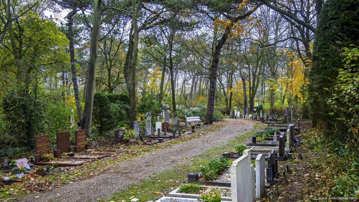 Elk jaar zo’n 3500 erfenissen in Nederland zonder erfgenaam: dit gebeurt er met je spullen als er geen familie bekend is