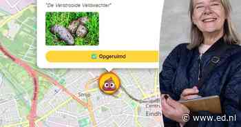 Hondenpoep met de droldetector te lijf