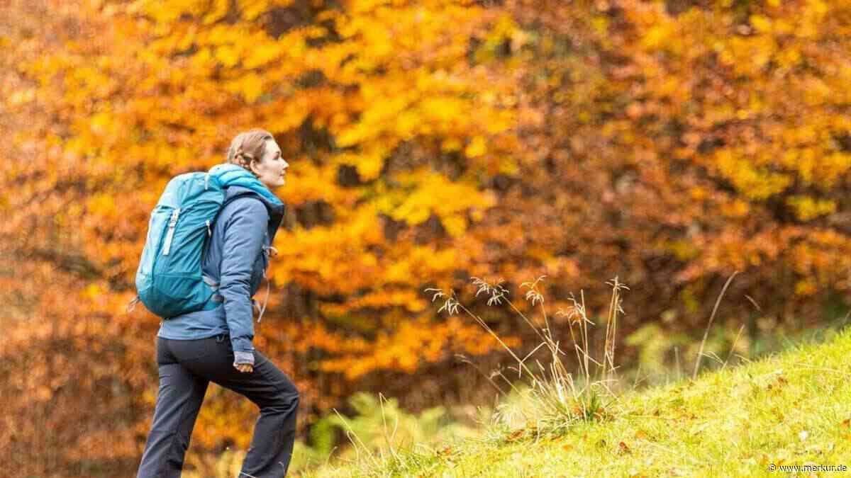 Rucksack-Packliste fürs Herbstwandern: Was laut Alpenverein unbedingt dabei sein muss
