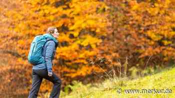 Rucksack-Packliste fürs Herbstwandern: Was laut Alpenverein unbedingt dabei sein muss