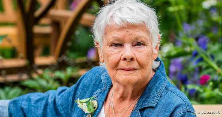 Even Judi Dench calls one of her own films a ‘waste of talent’