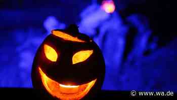 Wann ist Halloween und wann geht man von Tür zu Tür? Datum, Uhrzeiten und Knigge