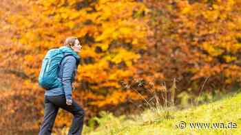 Rucksack-Packliste fürs Herbstwandern: Was laut Alpenverein unbedingt dabei sein muss