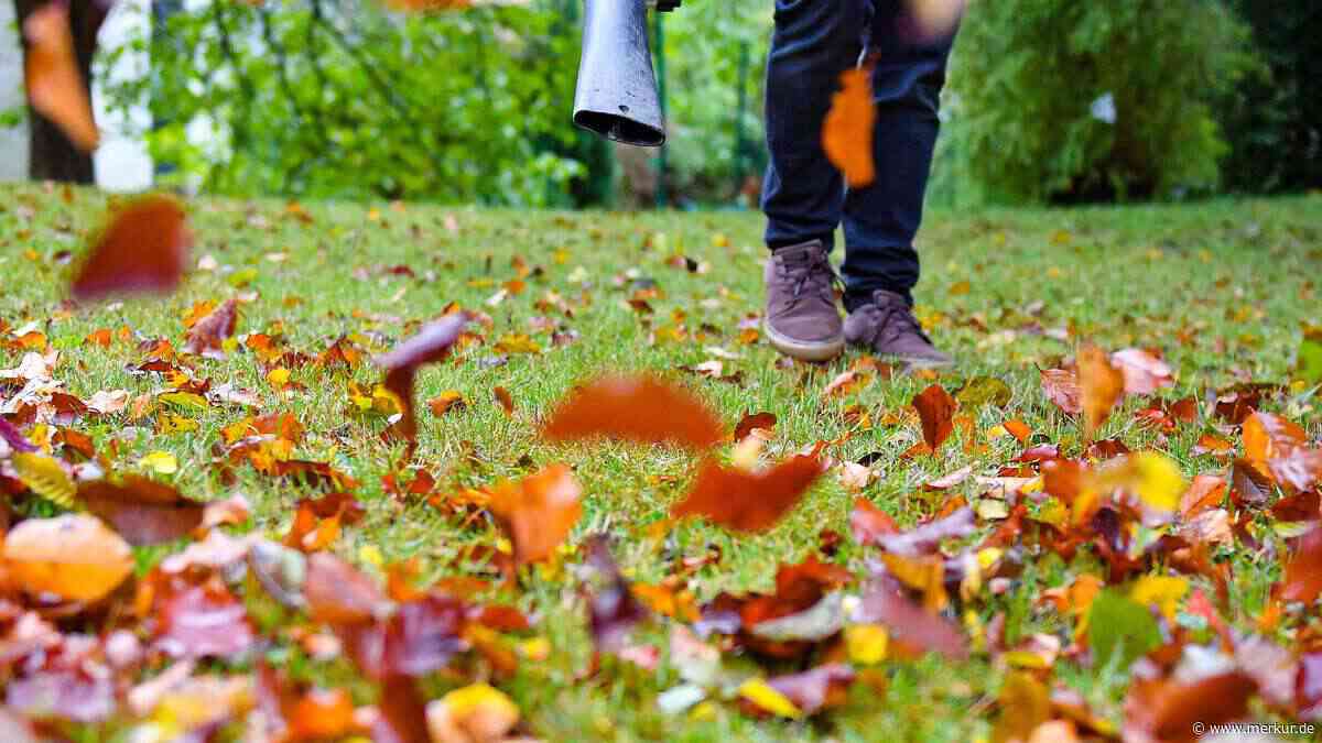 Laubbläser im Einsatz: Diese Regeln müssen Sie kennen, um teure Strafen zu vermeiden
