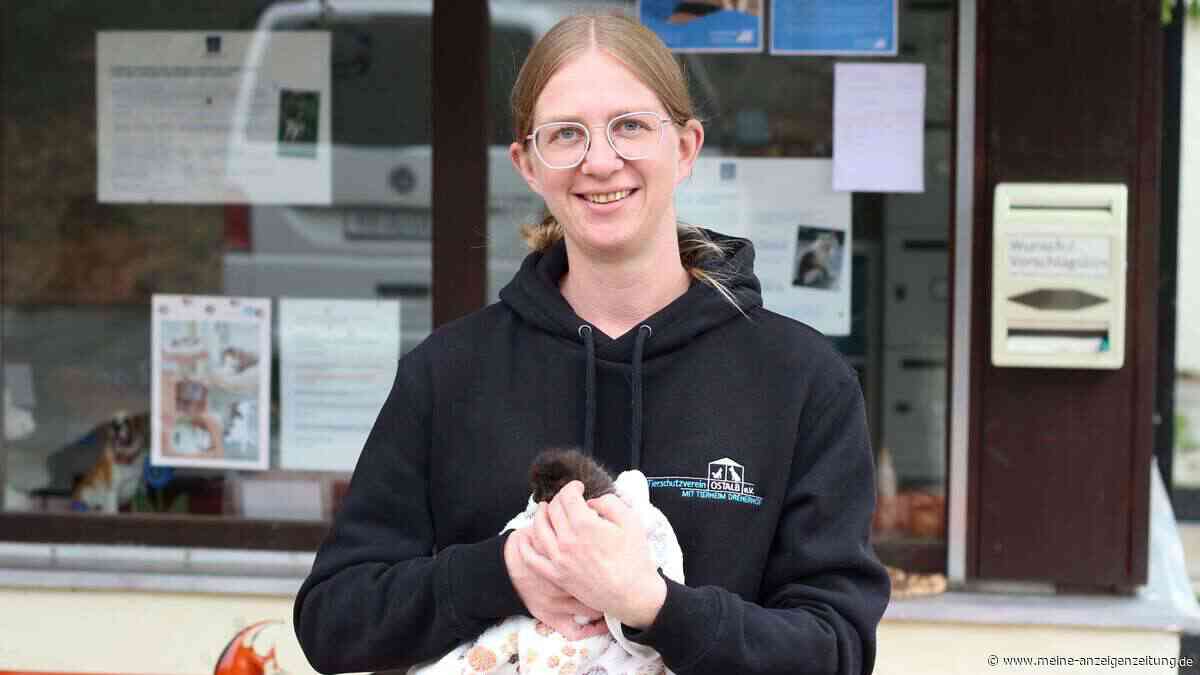 Im Tierheim Dreherhof liegen Leid und Freude oft nah beieinander