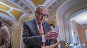 Schumer: 'Trump just gave Putin the best birthday gift he’ll get this year'