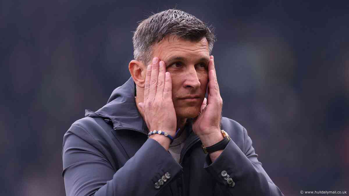 Sergej Jakirovic pulls no punches after dismal Hull City loss at Fulham