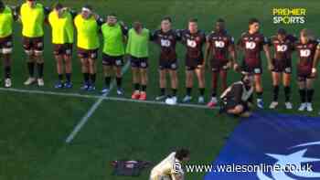 Entire stadium falls silent for tragic rugby player as devastated team-mates in tears