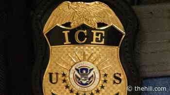 Immigrant ICE searched for in Texas when agent hit man with car has been dead for years: Report