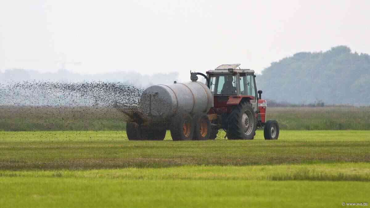 Dünger aus Urin und Kot – was nach Ekel klingt, könnte unsere Landwirtschaft verändern