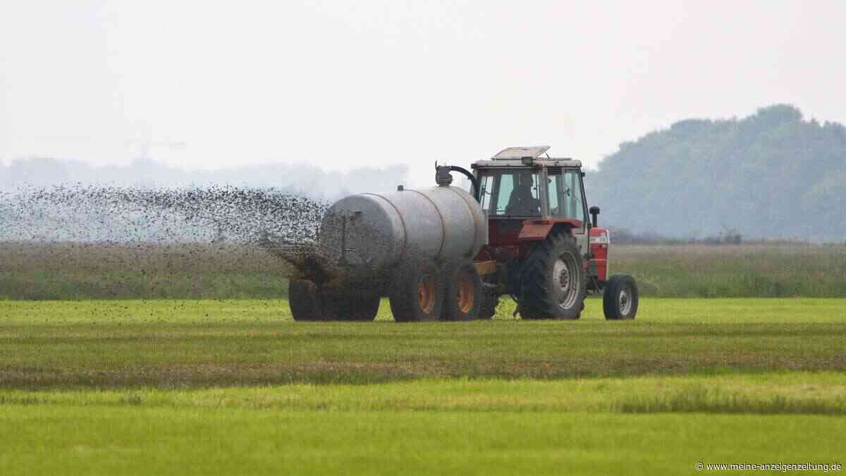 Dünger aus Urin und Kot – was nach Ekel klingt, könnte unsere Landwirtschaft verändern