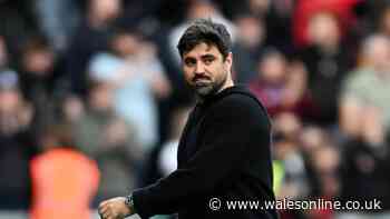 Vitor Matos sends warning to Swansea City's promotion rivals after West Ham defeat